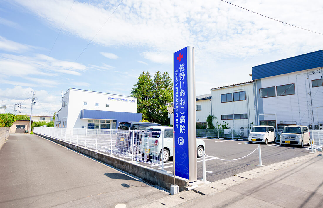 道路から見た外観