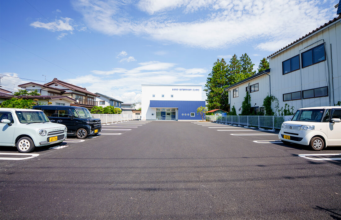 駐車場(18台)