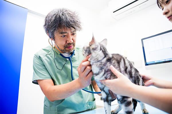 心臓や呼吸器の診察