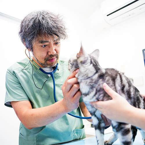 心臓や呼吸器の診察